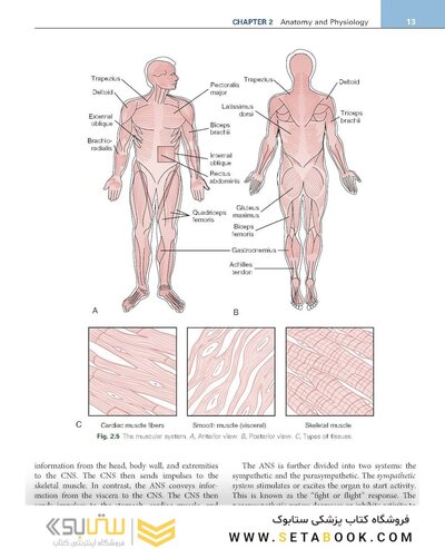 Procedures in Phlebotomy 5th Edition