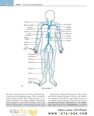 Procedures in Phlebotomy 5th Edition
