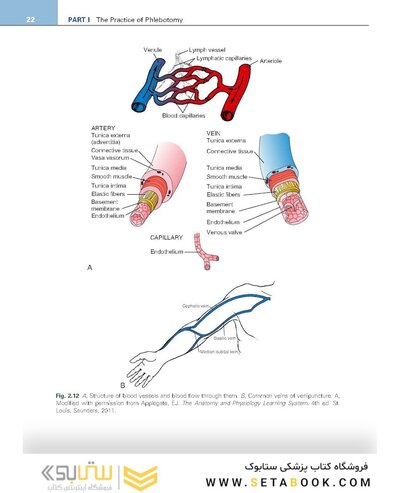 Procedures in Phlebotomy 5th Edition