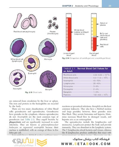 Procedures in Phlebotomy 5th Edition