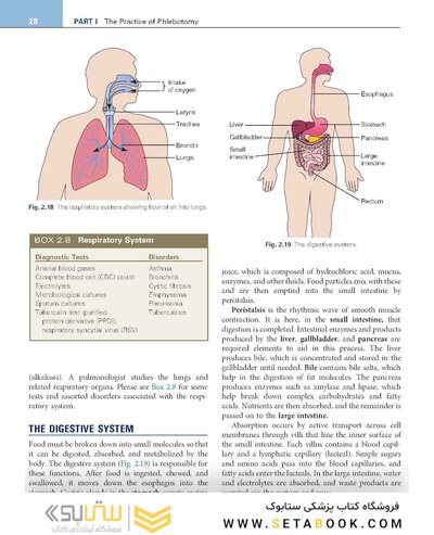Procedures in Phlebotomy 5th Edition