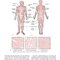 Procedures in Phlebotomy 5th Edition