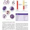 Procedures in Phlebotomy 5th Edition