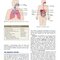 Procedures in Phlebotomy 5th Edition