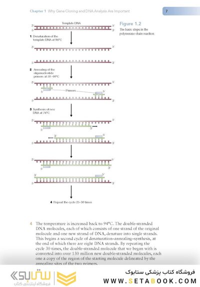 Gene Cloning and DNA Analysis: An Introduction 9th Edition