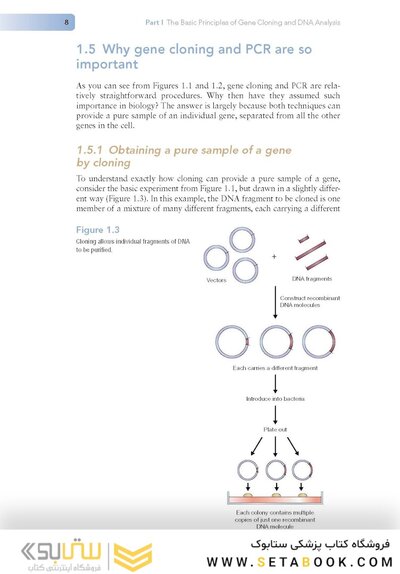 Gene Cloning and DNA Analysis: An Introduction 9th Edition