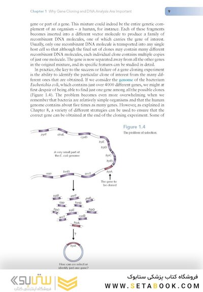 Gene Cloning and DNA Analysis: An Introduction 9th Edition