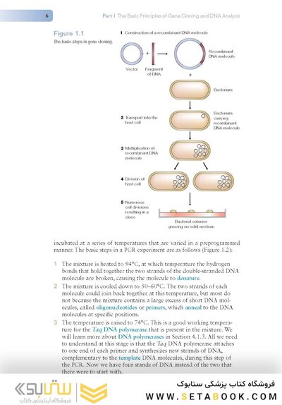 Gene Cloning and DNA Analysis: An Introduction 9th Edition