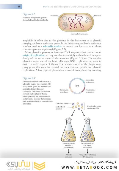 Gene Cloning and DNA Analysis: An Introduction 9th Edition