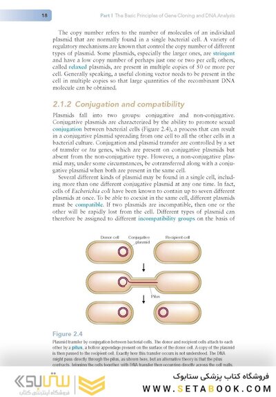 Gene Cloning and DNA Analysis: An Introduction 9th Edition
