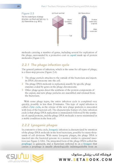 Gene Cloning and DNA Analysis: An Introduction 9th Edition