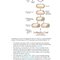 Gene Cloning and DNA Analysis: An Introduction 9th Edition