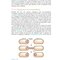 Gene Cloning and DNA Analysis: An Introduction 9th Edition