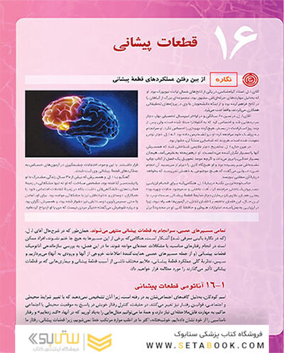 مبانی نوروسایکولوژی انسان 2021 جلد دوم - ویراست هشتم