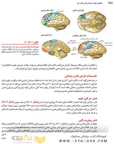 مبانی نوروسایکولوژی انسان 2021 جلد دوم - ویراست هشتم
