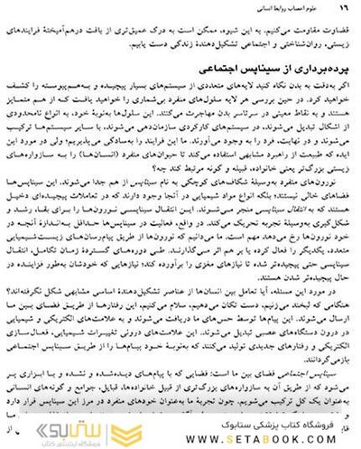 علوم اعصاب روابط انسانی