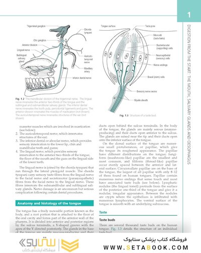 The Digestive System: Systems of the Body Series 3rd Edition