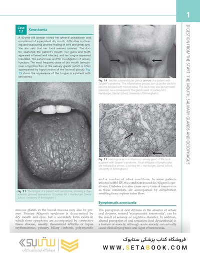 The Digestive System: Systems of the Body Series 3rd Edition