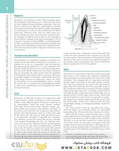 The Digestive System: Systems of the Body Series 3rd Edition