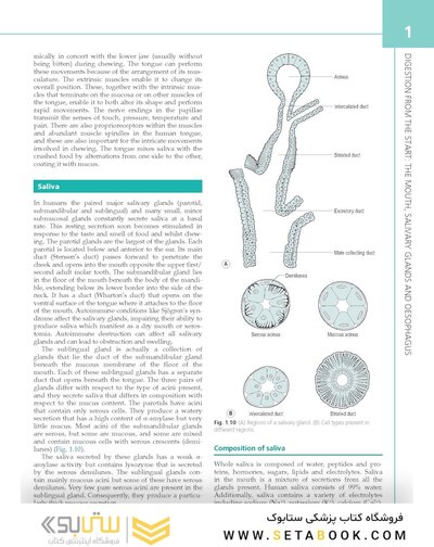 The Digestive System: Systems of the Body Series 3rd Edition