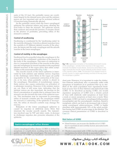 The Digestive System: Systems of the Body Series 3rd Edition