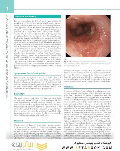 The Digestive System: Systems of the Body Series 3rd Edition
