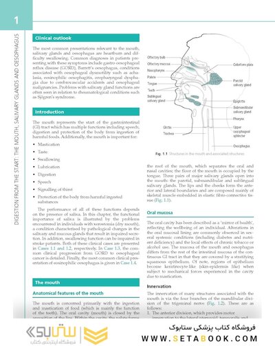 The Digestive System: Systems of the Body Series 3rd Edition