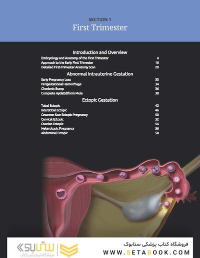 Diagnostic Imaging: Obstetrics 5th Edition