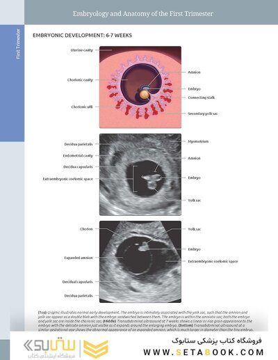 Diagnostic Imaging: Obstetrics 5th Edition