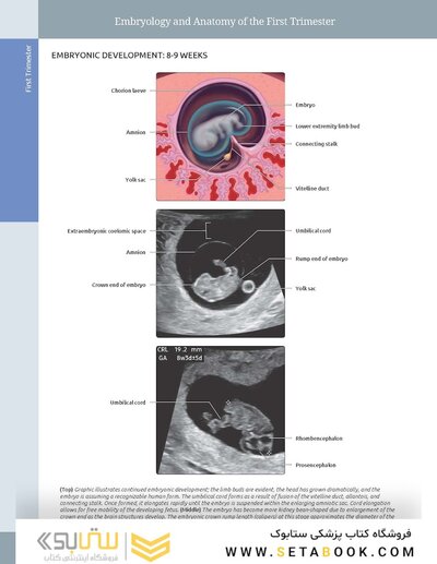 Diagnostic Imaging: Obstetrics 5th Edition