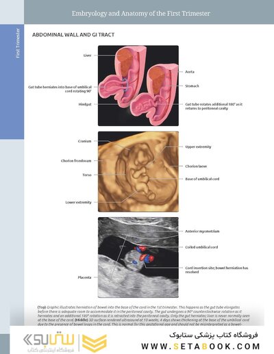 Diagnostic Imaging: Obstetrics 5th Edition
