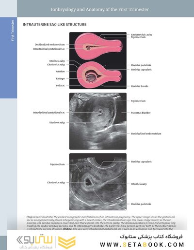 Diagnostic Imaging: Obstetrics 5th Edition