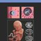 Diagnostic Imaging: Obstetrics 5th Edition
