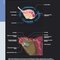 Diagnostic Imaging: Obstetrics 5th Edition