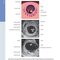 Diagnostic Imaging: Obstetrics 5th Edition