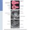 Diagnostic Imaging: Obstetrics 5th Edition
