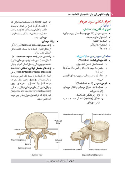 چکیده آناتومی گری برای دانشجویان 2024