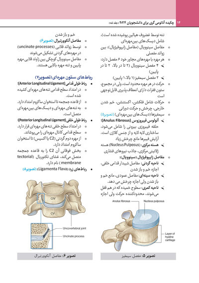 چکیده آناتومی گری برای دانشجویان 2024