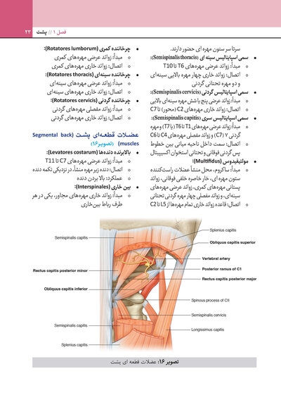 چکیده آناتومی گری برای دانشجویان 2024