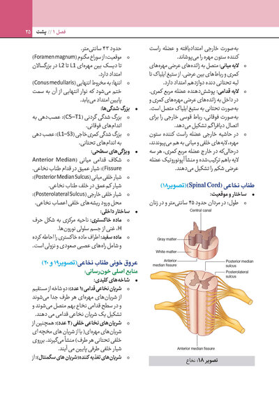 چکیده آناتومی گری برای دانشجویان 2024