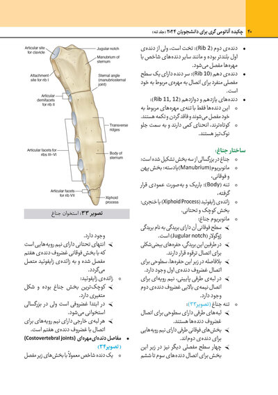 چکیده آناتومی گری برای دانشجویان 2024