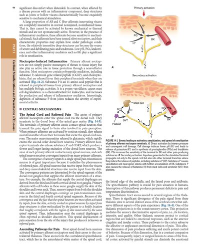 HARRISONS PRINCIPLES OF INTERNAL MEDICINE Part Cardinal Manifestations and Presentation Of Disease 2025