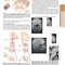 HARRISONS PRINCIPLES OF INTERNAL MEDICINE Part Cardinal Manifestations and Presentation Of Disease 2025