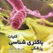 کلیات باکتری شناسی پزشکی