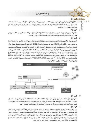 IQB پلاس خون شناسی و بانک خون (همراه با پاسخنامه تشریحی)
