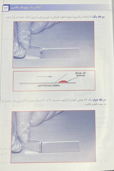 اطلس خون شناسی