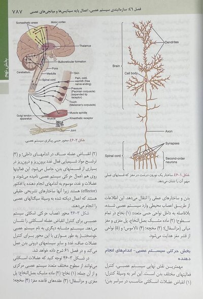 فیزیولوژی پزشکی گایتون و هال 2021 جلد 2