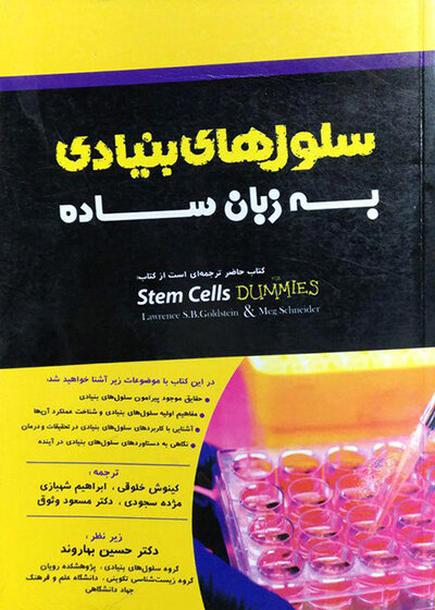 سلول های بنیادی به زبان ساده