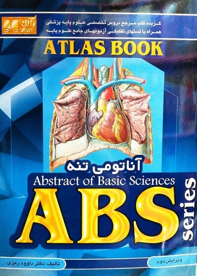 ABS آناتومی تنه