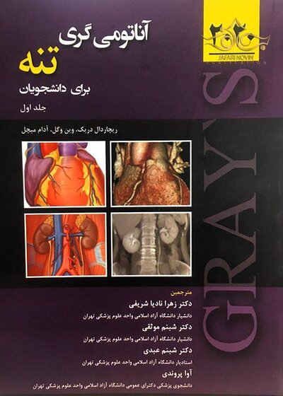 آناتومی گری تنه  2020